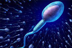 Sperm – Do I Even Matter?